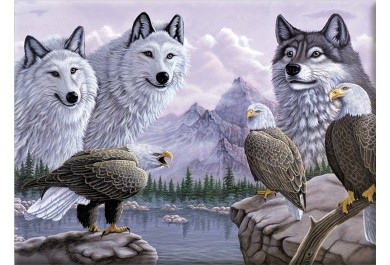 Royal Langnickel malování podle čísel - Vlci a orli, 40x30 cm