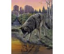 Royal Langnickel malování podle čísel - Vlk, 22x30 cm