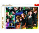 Trefl puzzle 1000 dílků - Harry Potter Kouzelnický svět