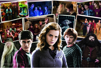 Trefl puzzle 160 dílků - Harry Potter a přátelé