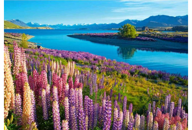 Castorland puzzle 500 dílků, Jezero Tekapo, Nový Zéland